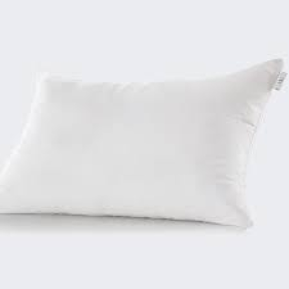 HOMLEE PILLOW 700GM RCH 12481