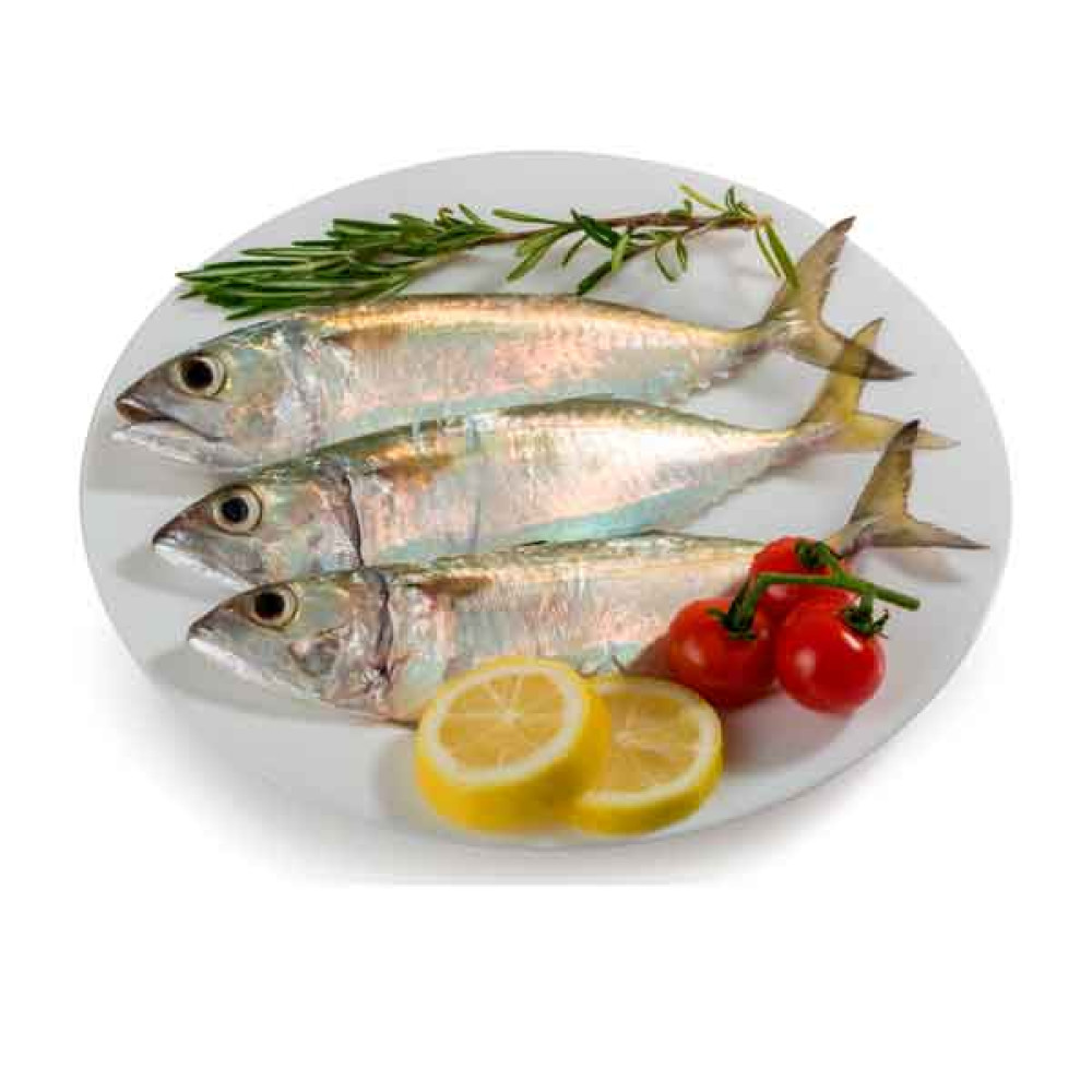 FRESH MACKEREL FISH SMALL - 1KG (APPROX) 